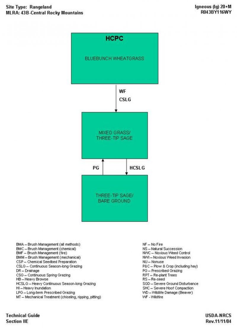 Model diagram