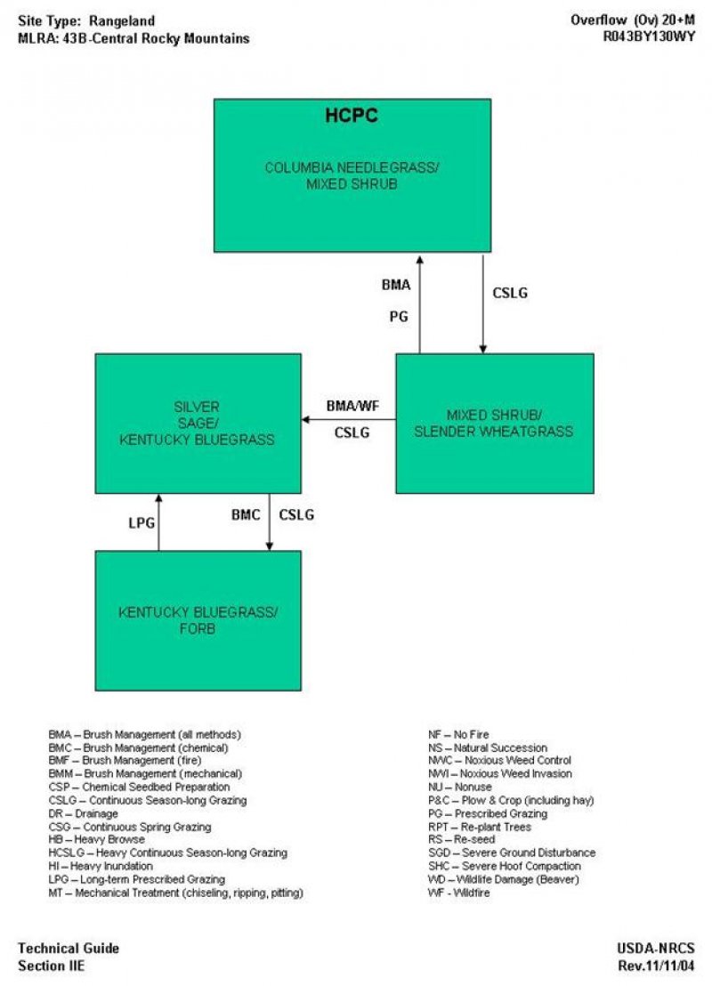 Model diagram