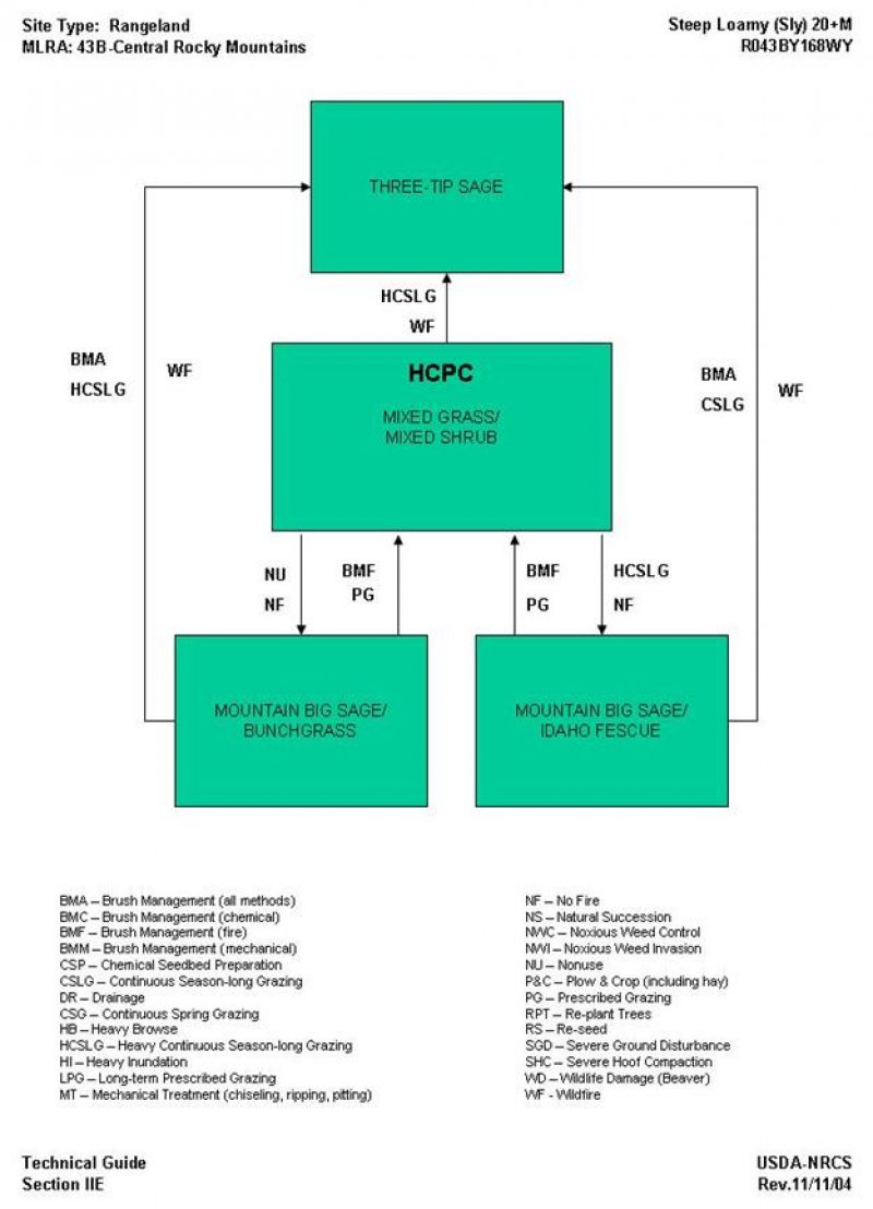 Model diagram