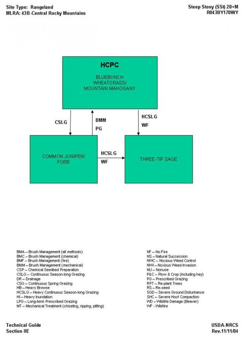 Model diagram