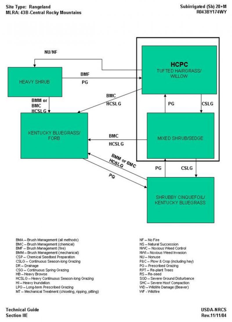 Model diagram