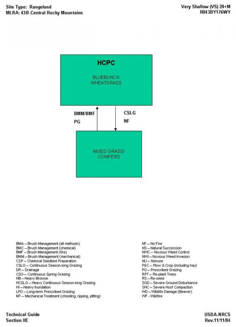 Model diagram