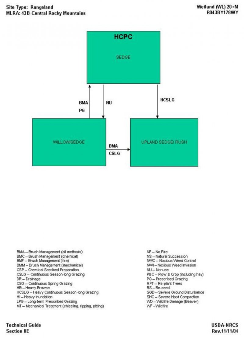 Model diagram