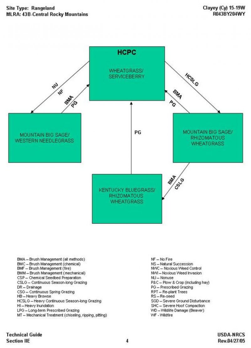 Model diagram