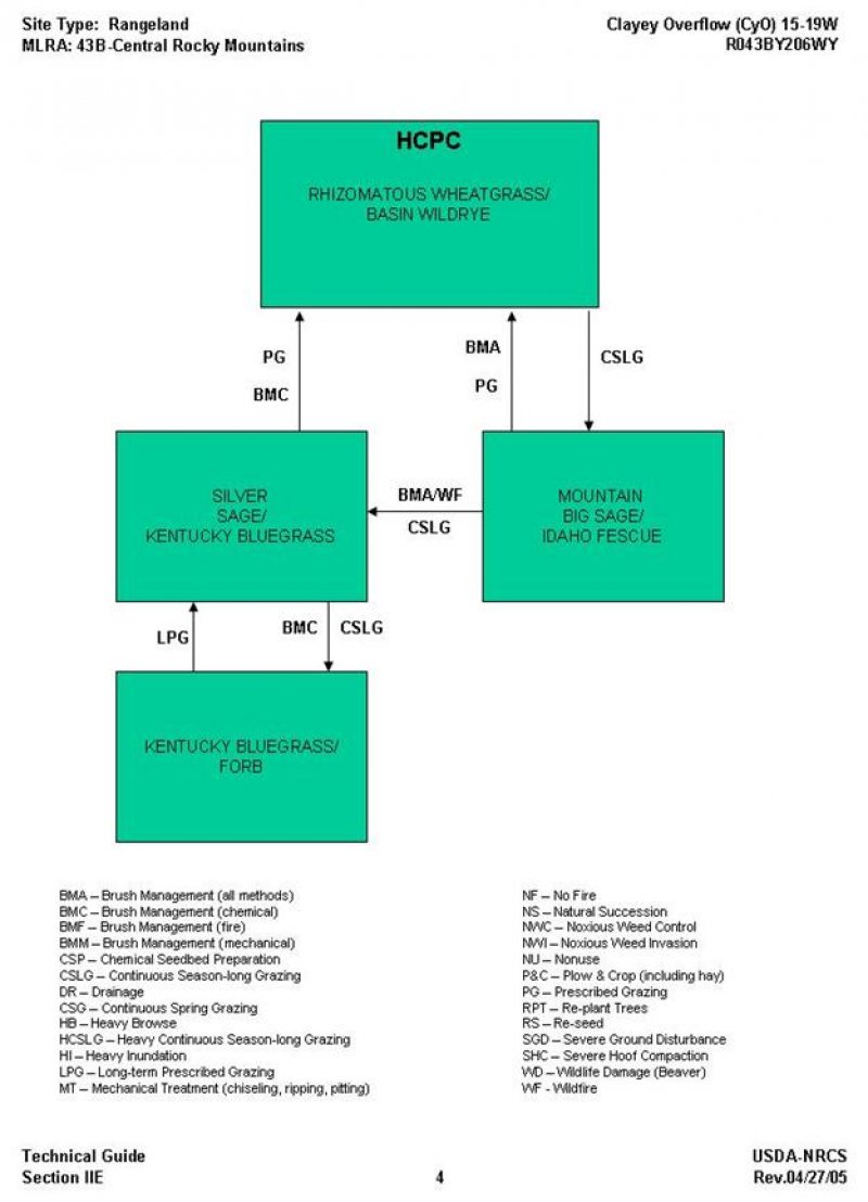 Model diagram