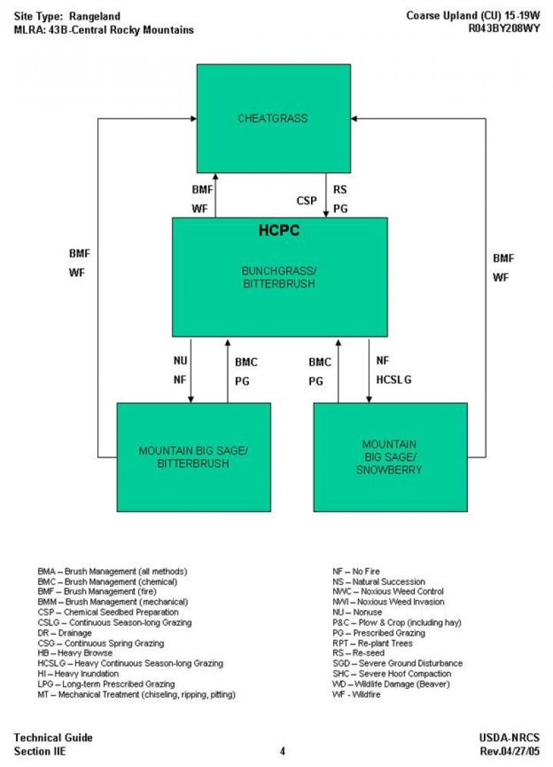Model diagram