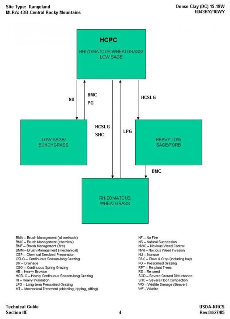 Model diagram