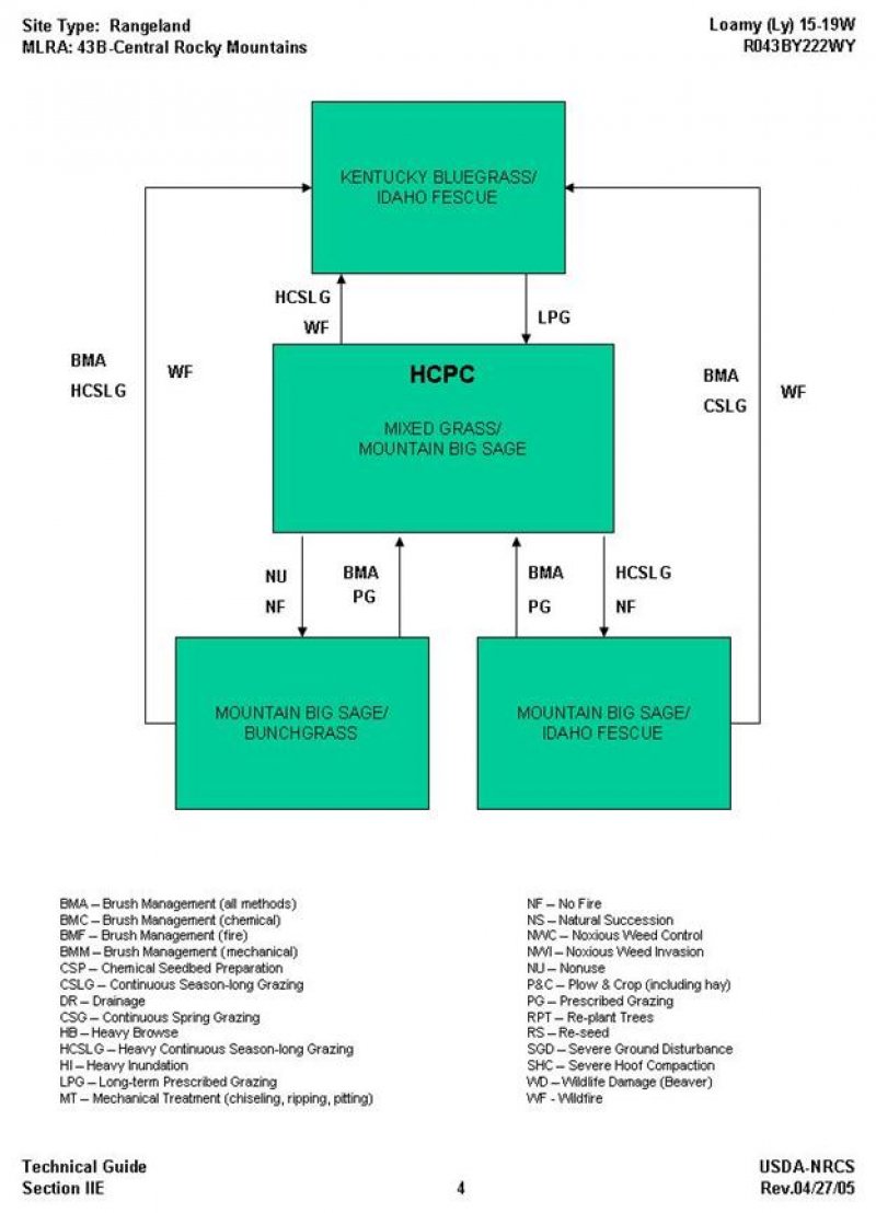 Model diagram