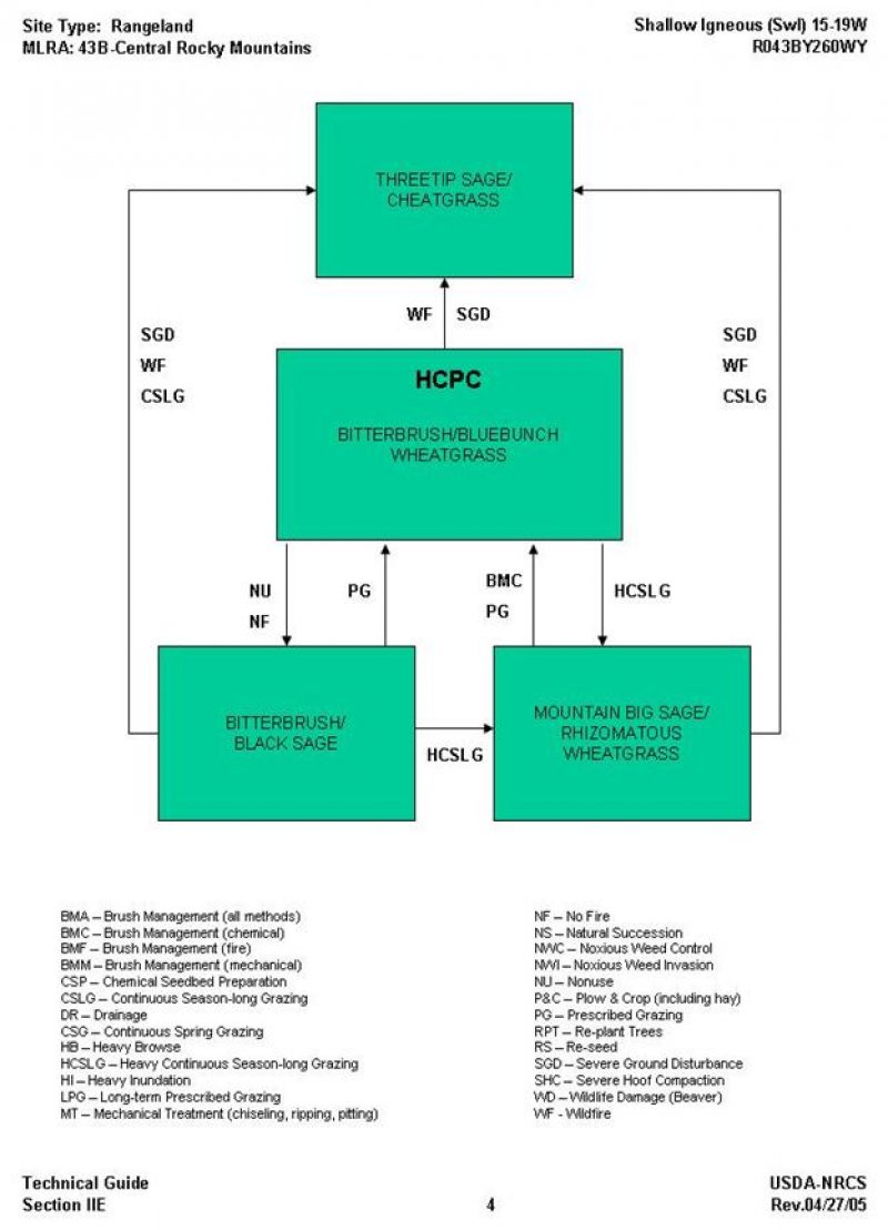 Model diagram