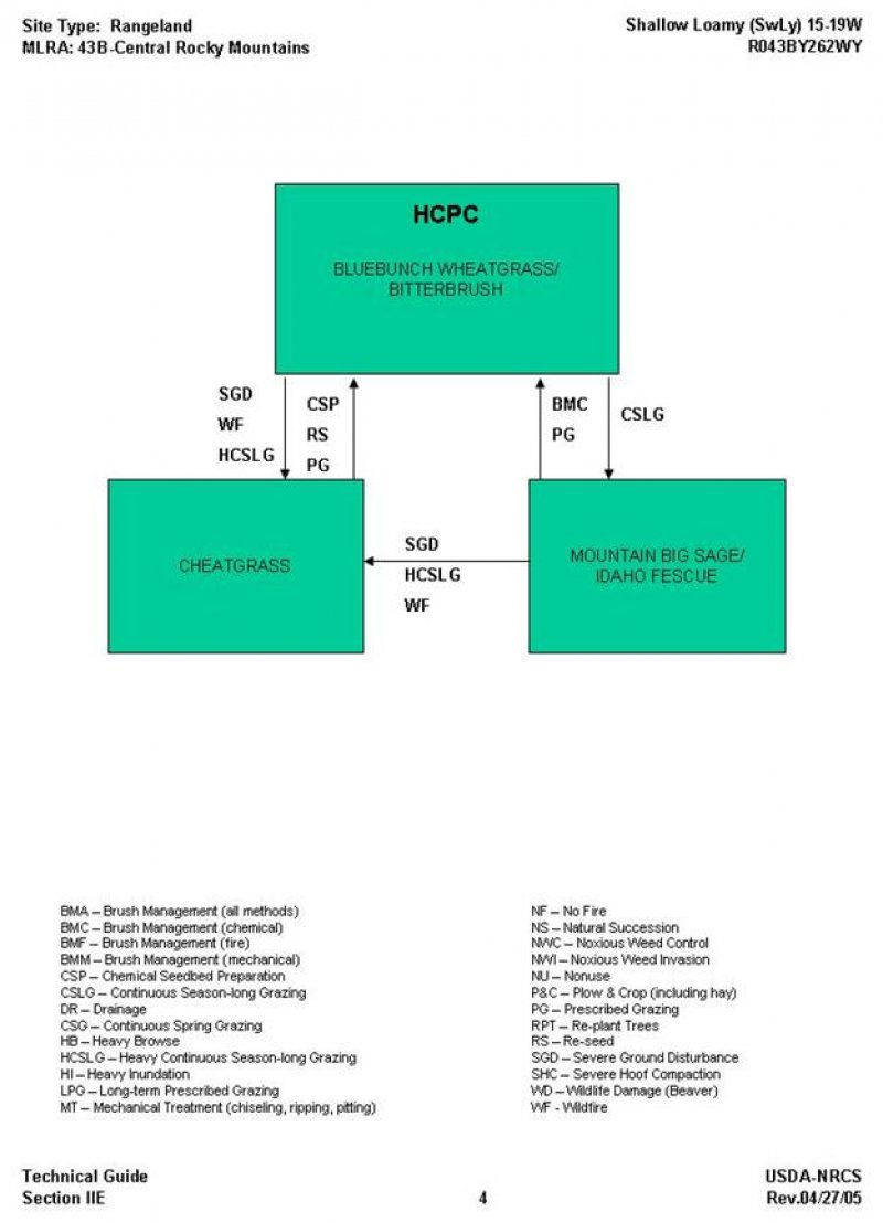 Model diagram