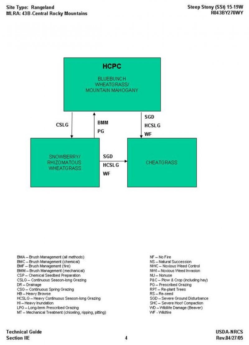 Model diagram