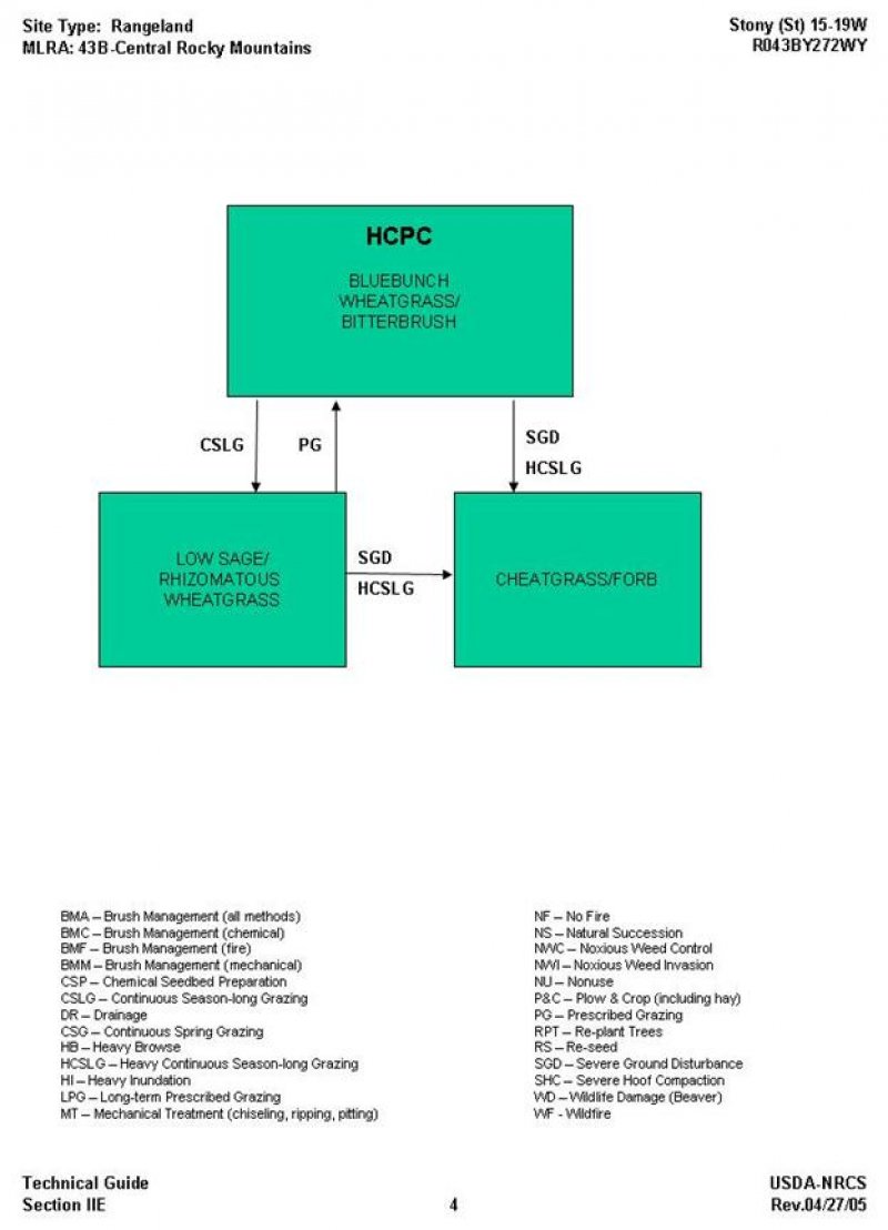 Model diagram
