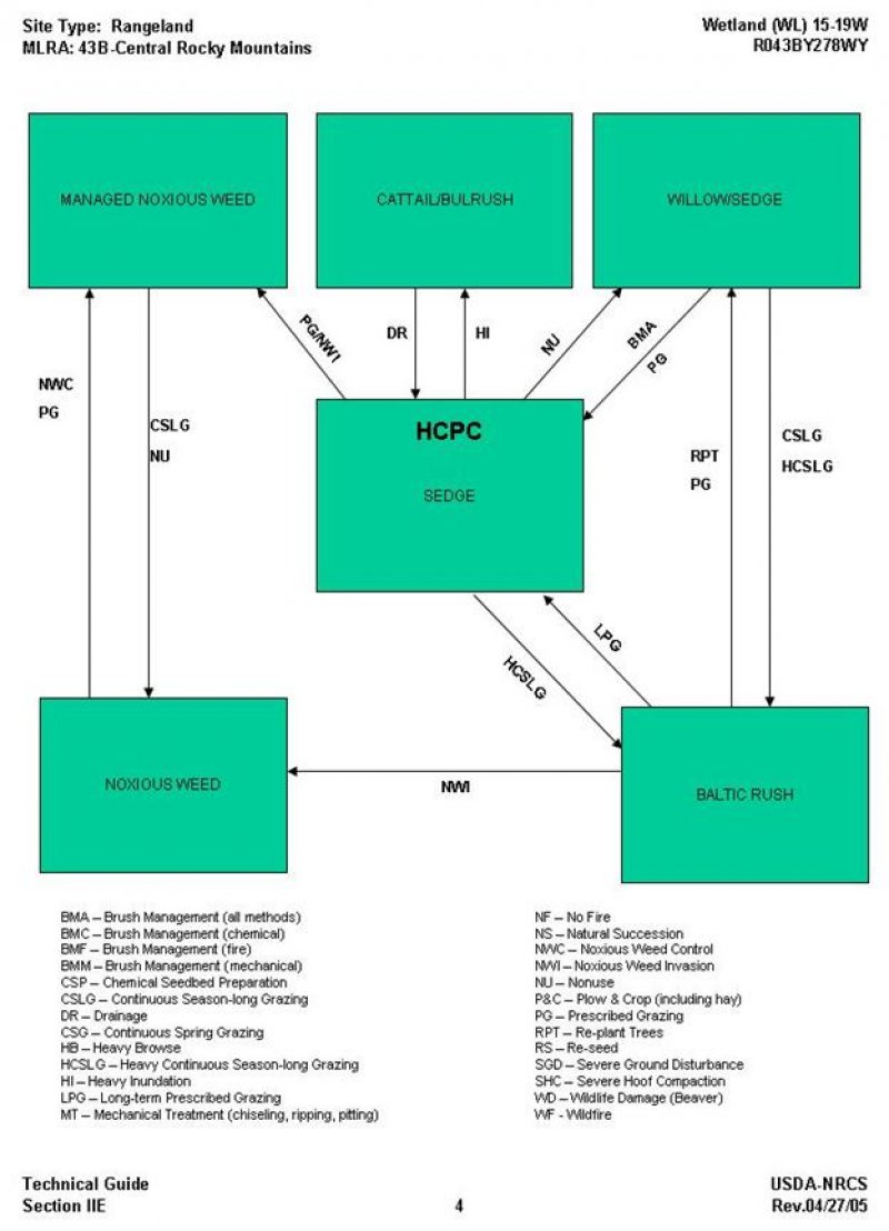 Model diagram