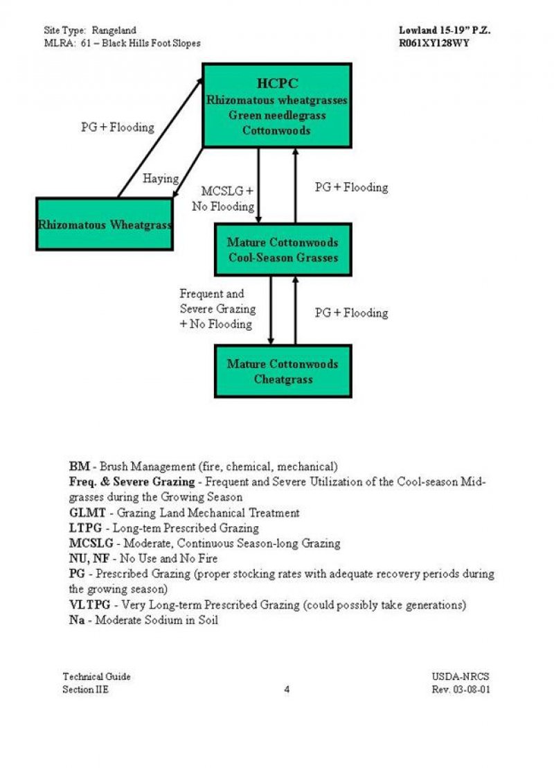 Model diagram