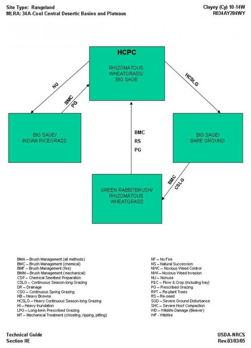 Model diagram