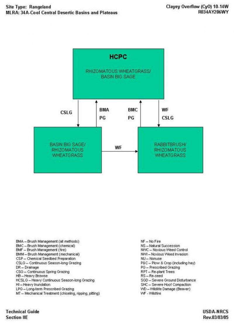 Model diagram