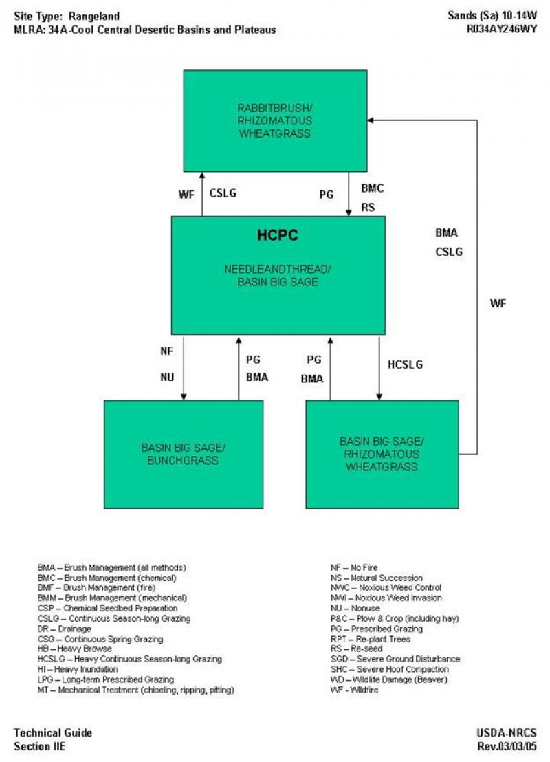 Model diagram