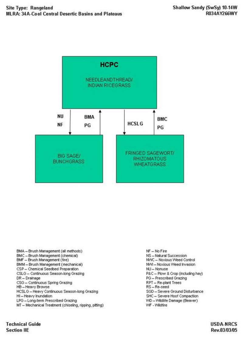 Model diagram