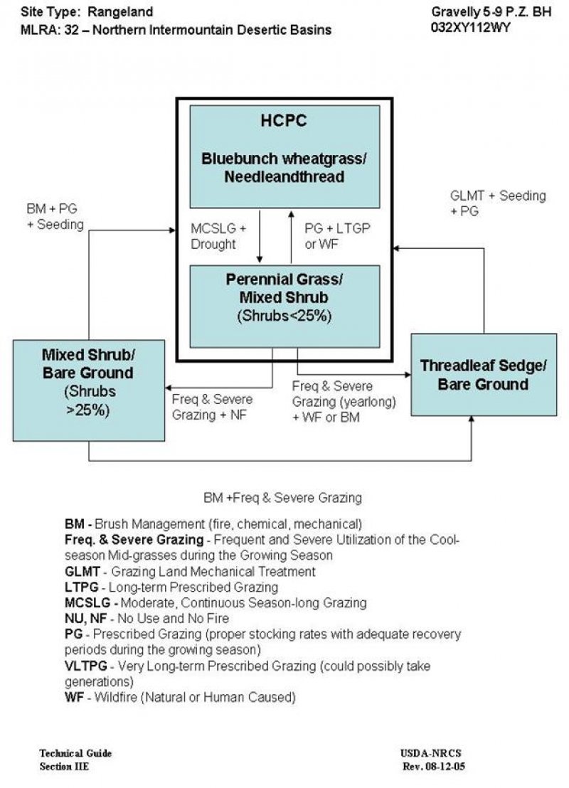 Model diagram