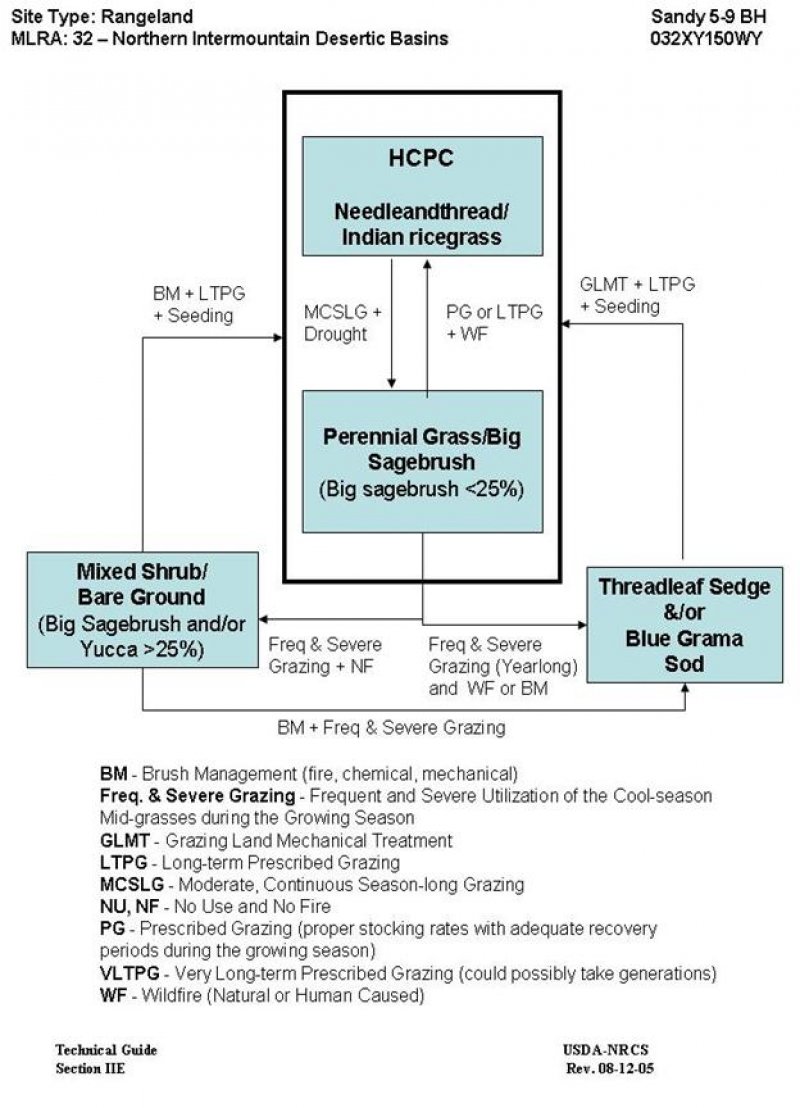 Model diagram