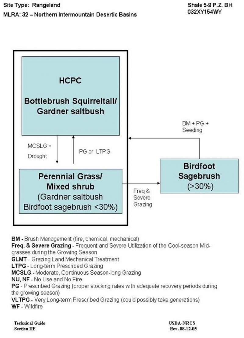 Model diagram