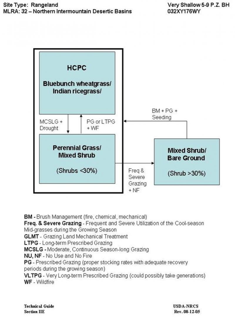 Model diagram