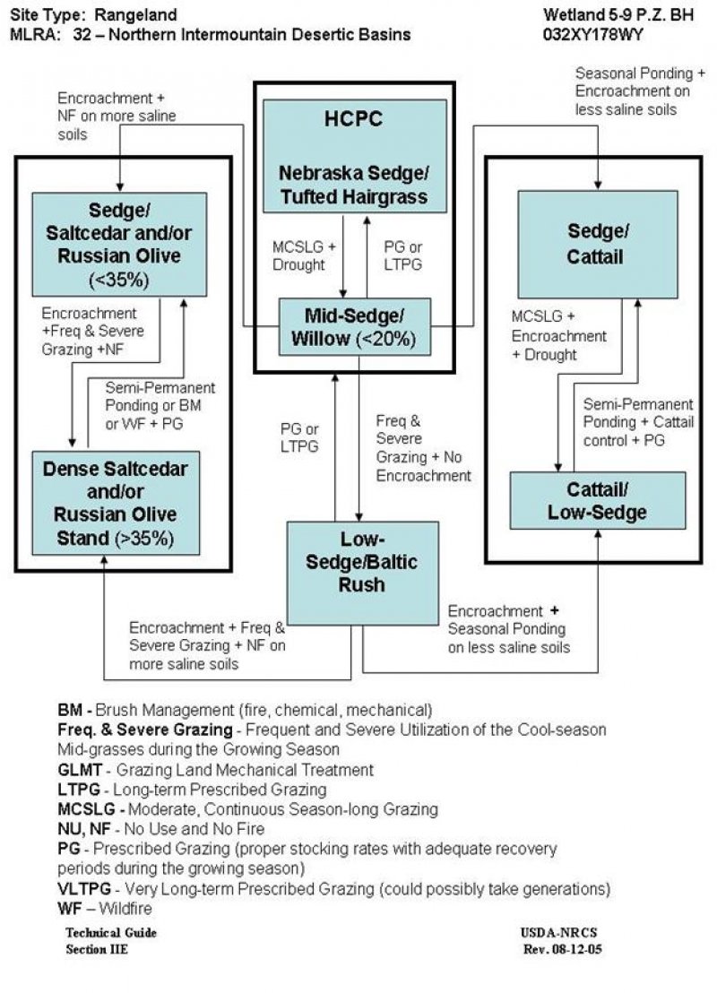 Model diagram