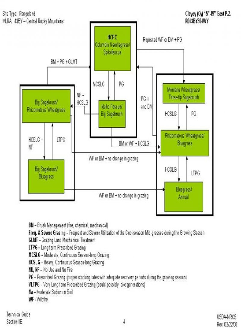 Model diagram