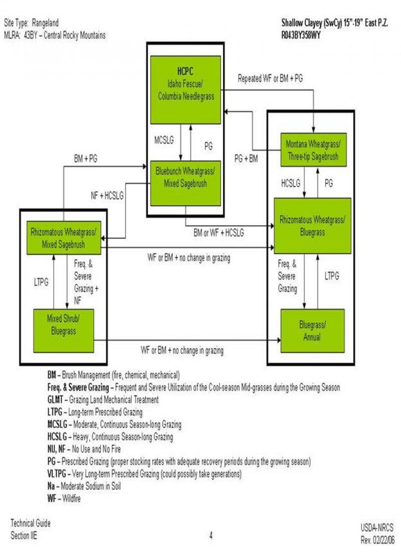 Model diagram