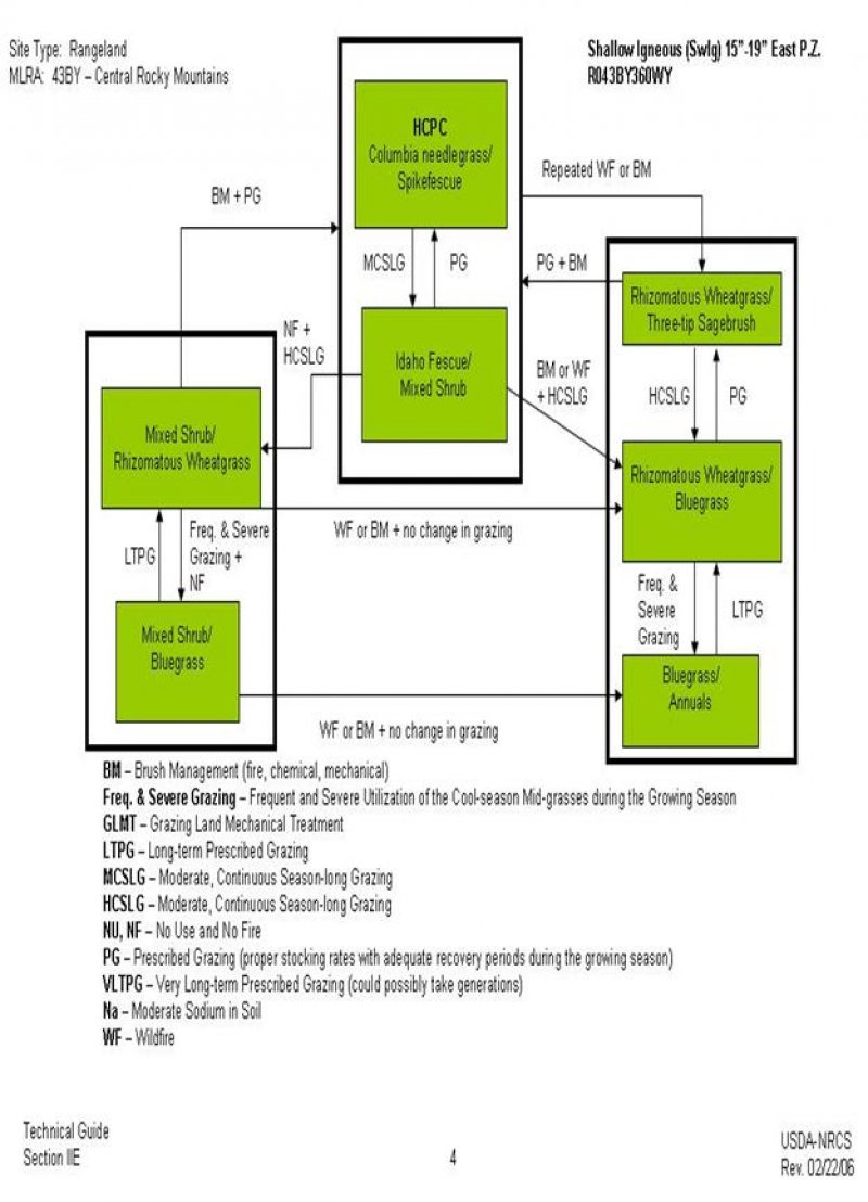 Model diagram