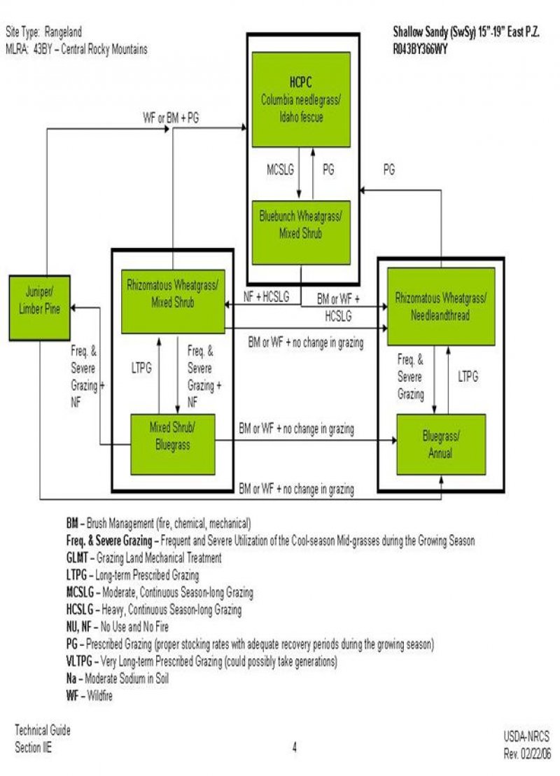 Model diagram