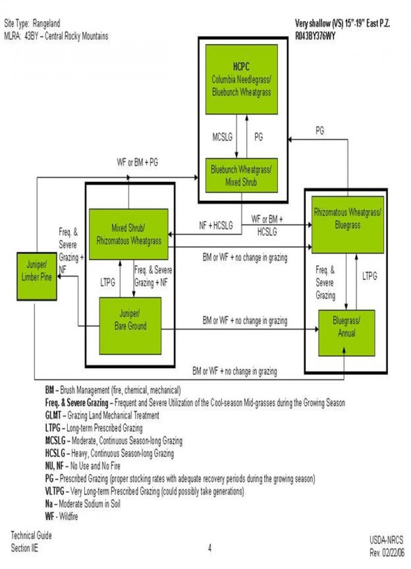 Model diagram