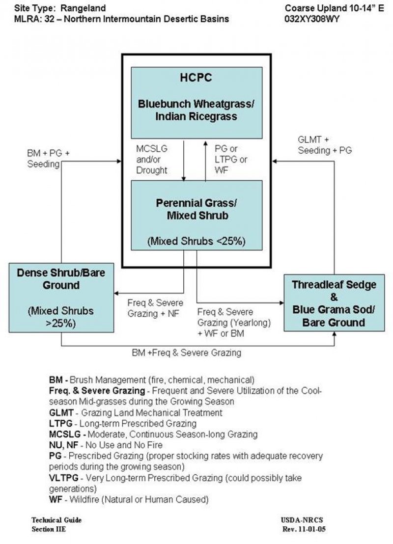 Model diagram