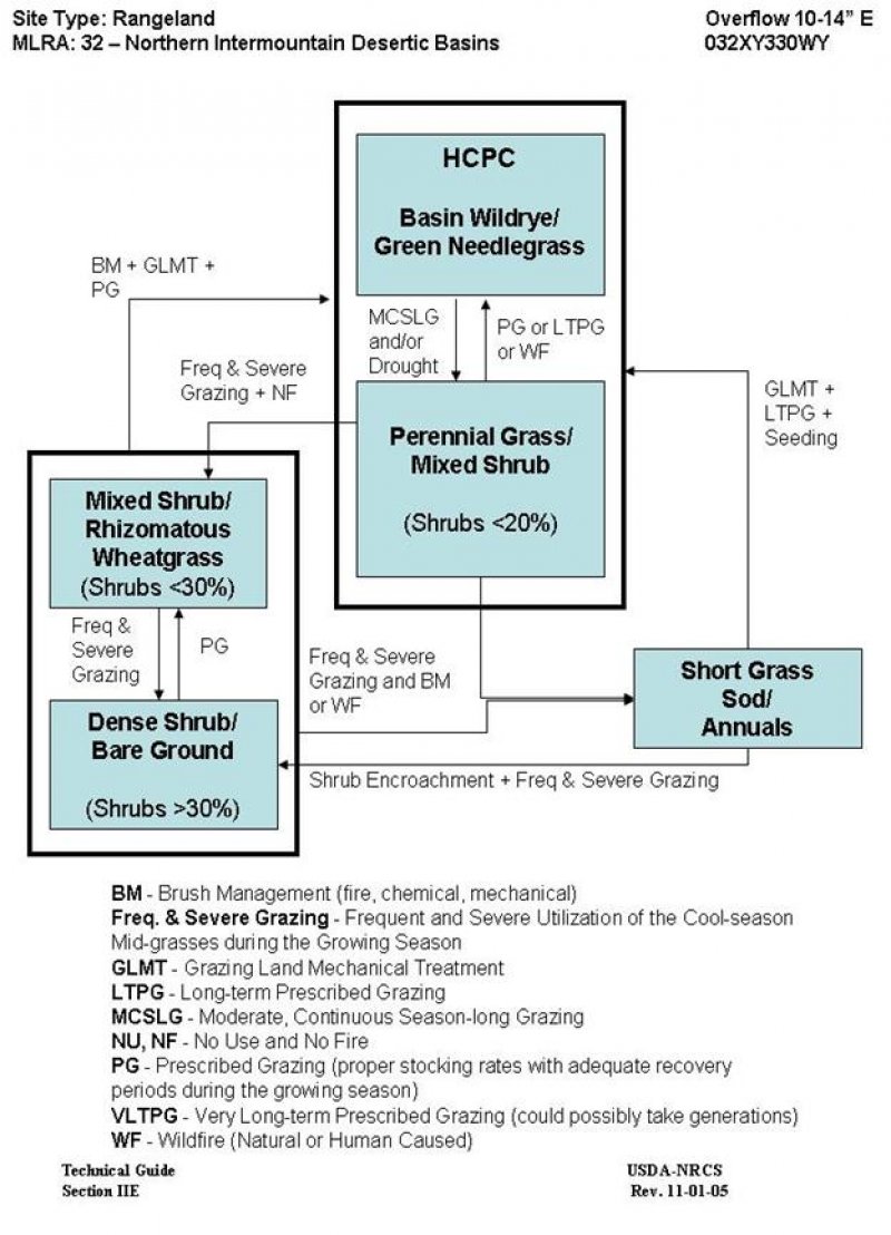 Model diagram