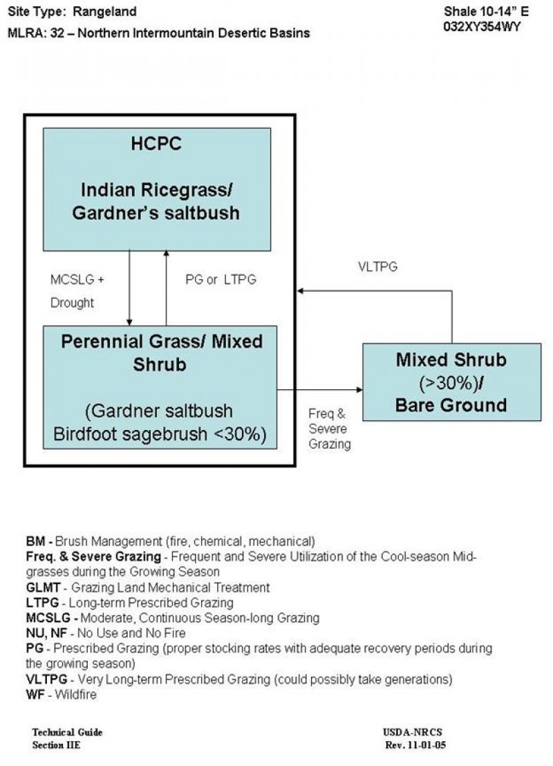 Model diagram