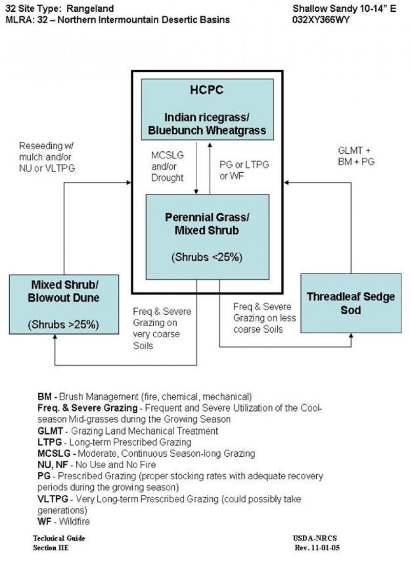 Model diagram