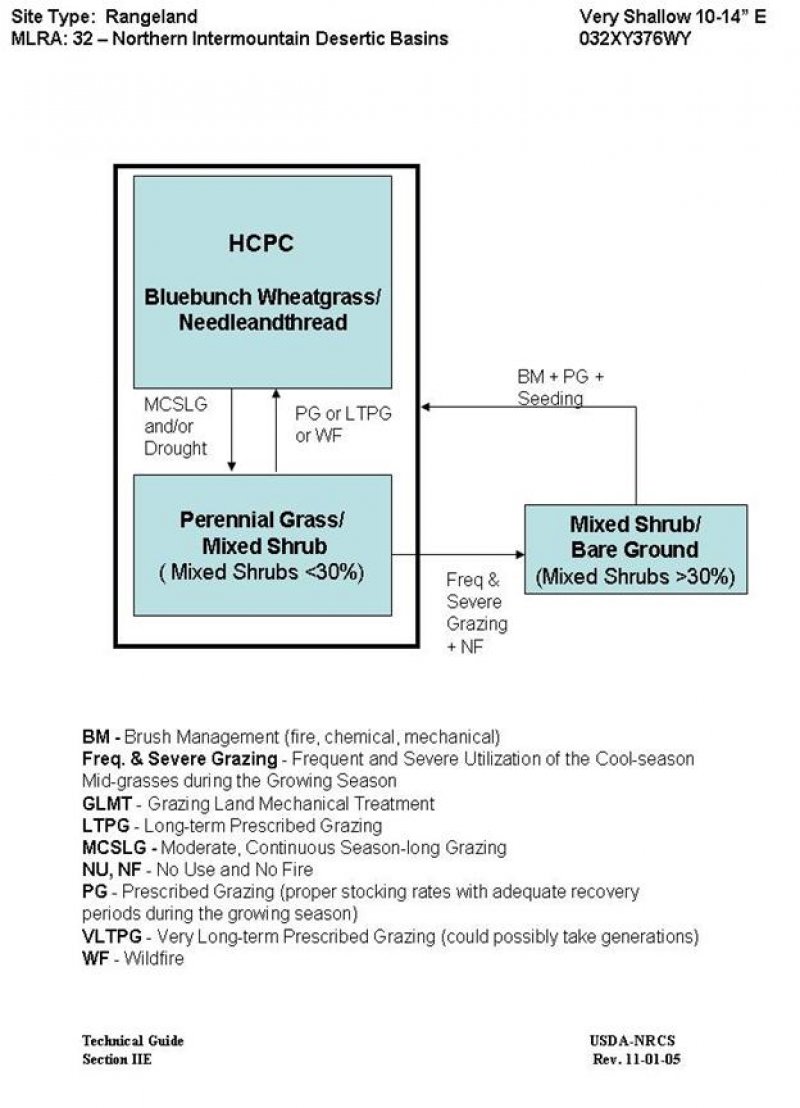 Model diagram