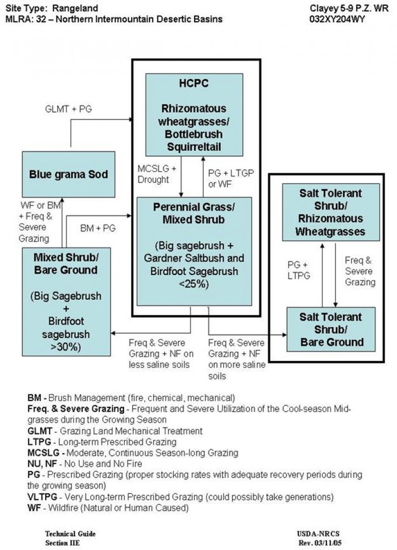 Model diagram
