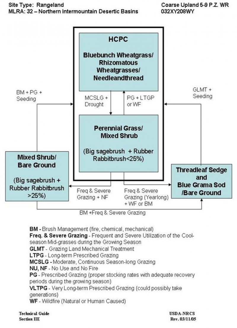 Model diagram