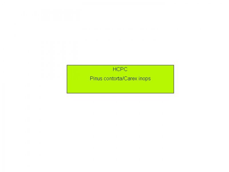 Model diagram
