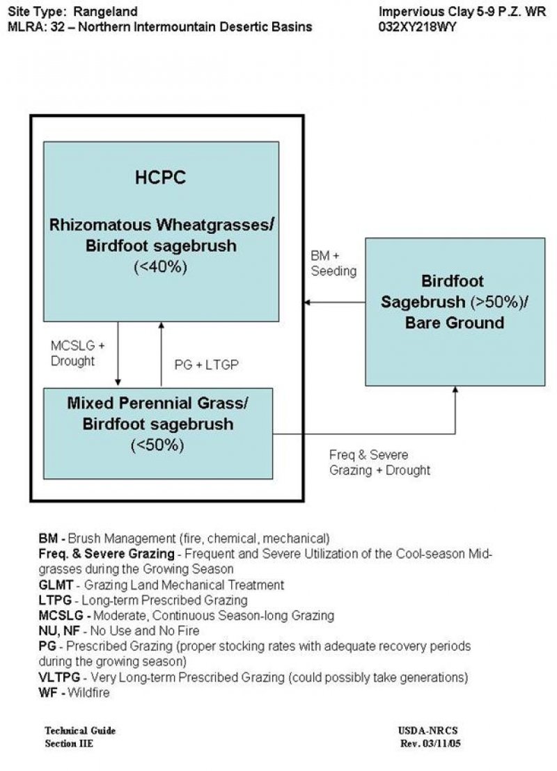 Model diagram