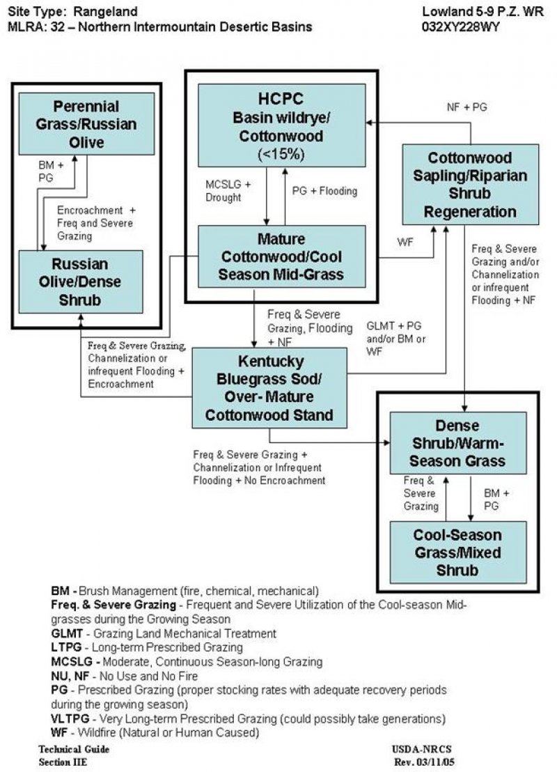 Model diagram