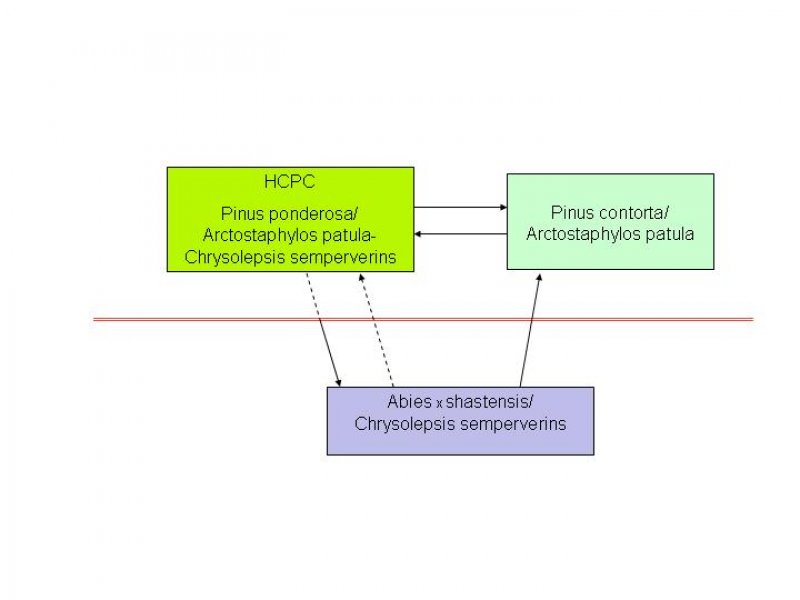 Model diagram