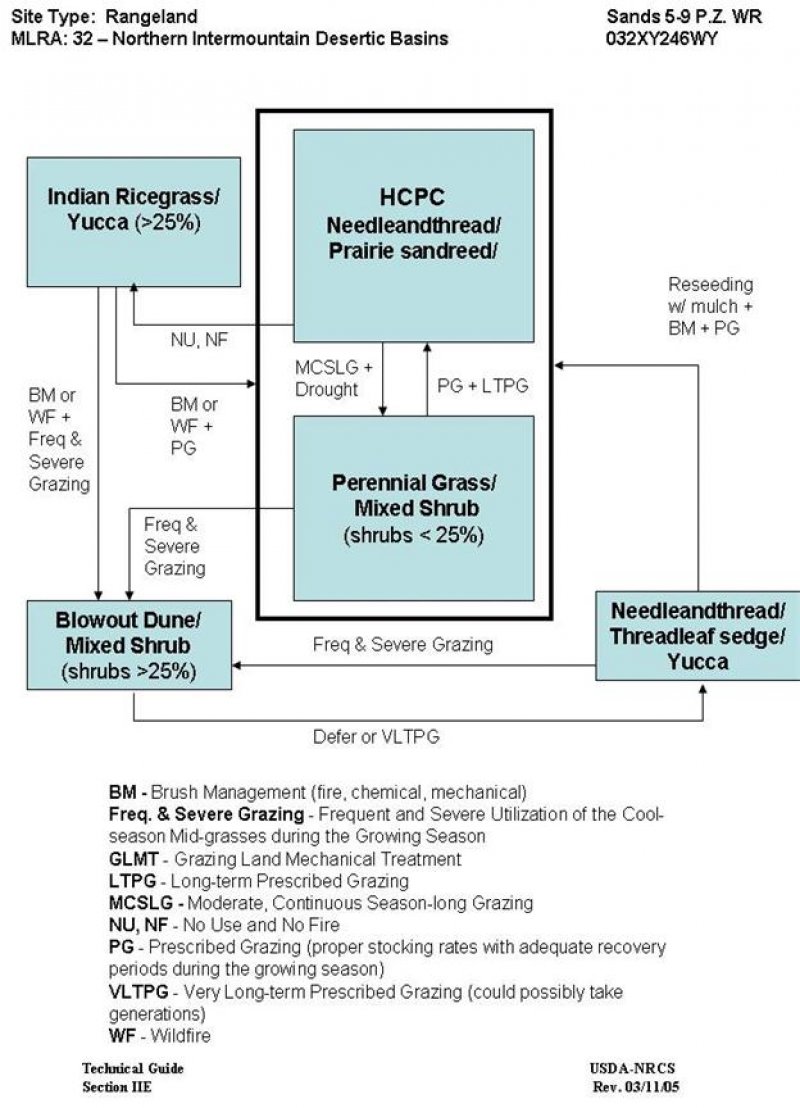 Model diagram