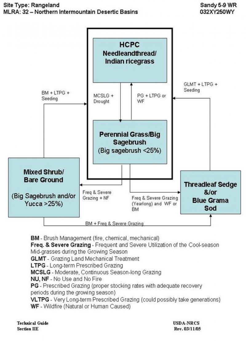 Model diagram