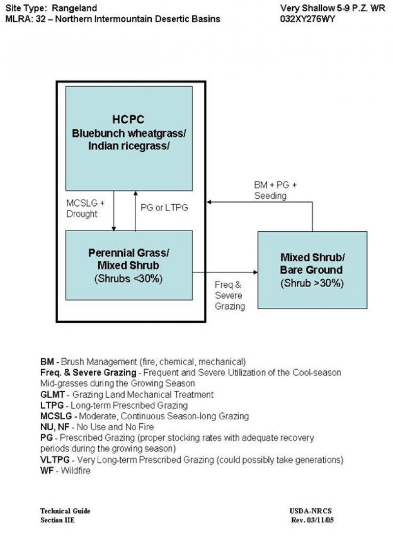 Model diagram