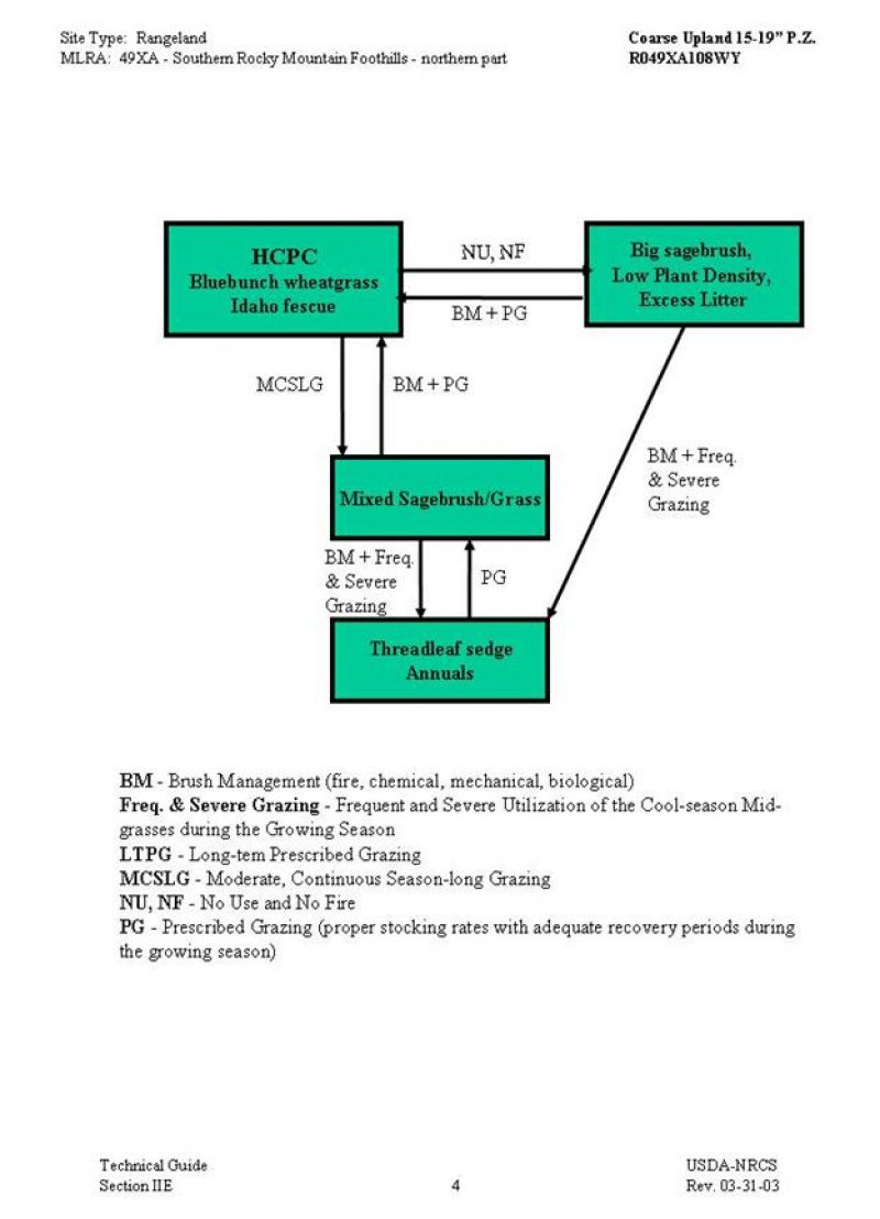 Model diagram
