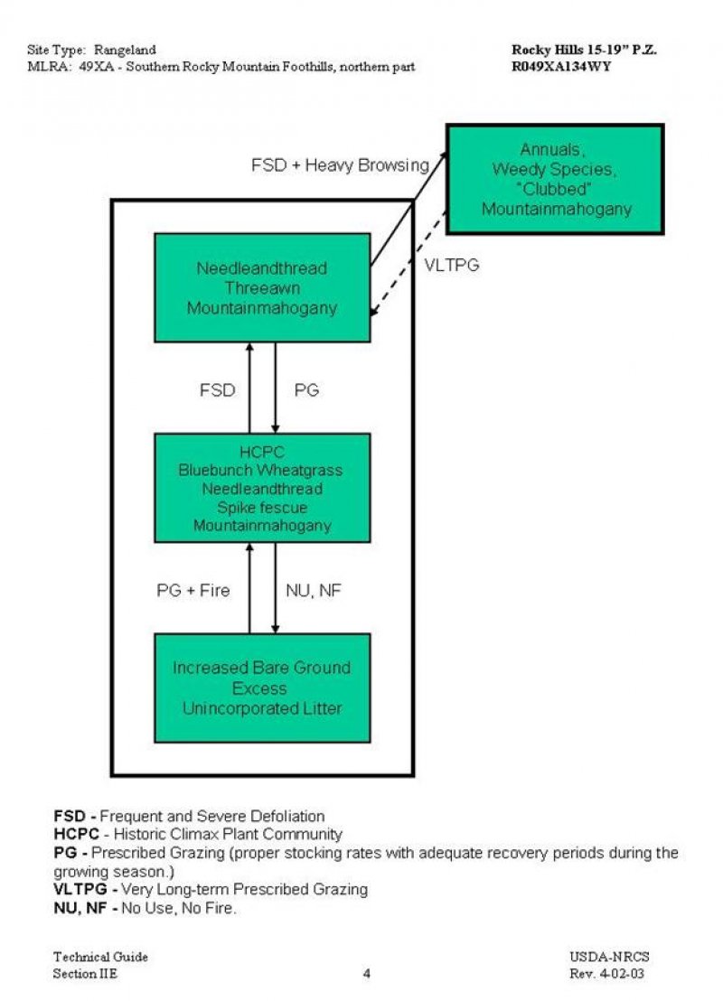 Model diagram