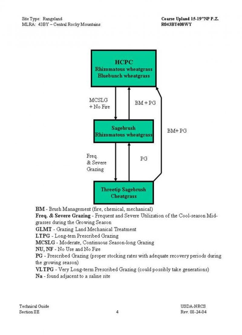 Model diagram