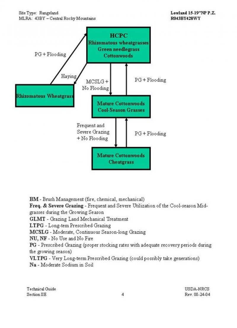 Model diagram